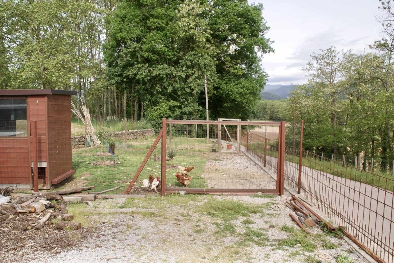 Ventura Entero La Vall de Bianya
